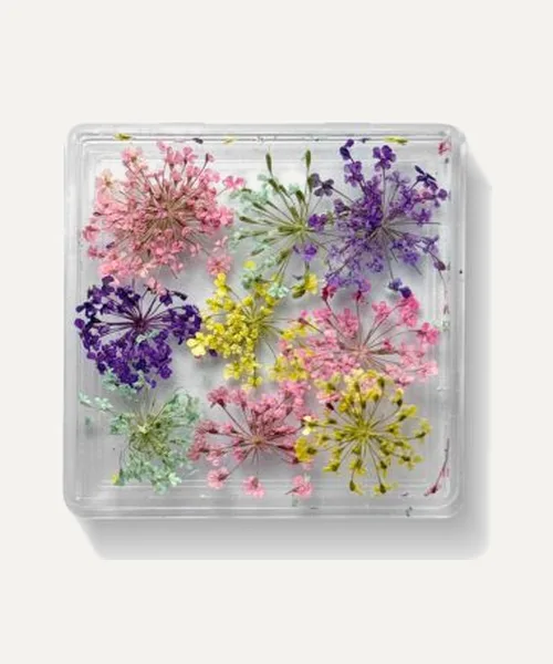 Flores secas para uñas de Nata