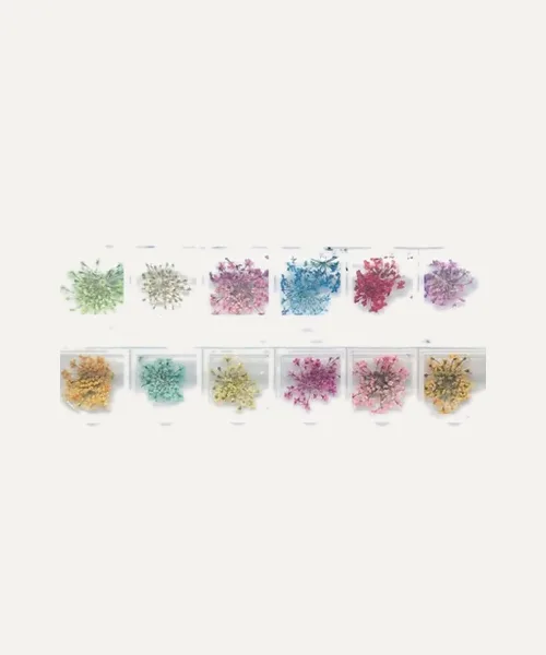 Flores secas para uñas 01 de Neonail
